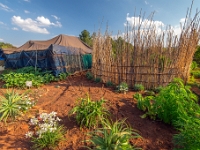 Pretoria
